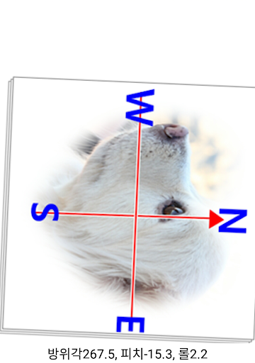 Puppy Compass