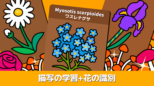 箱庭 - 子供向けの塗り絵＋花と植物図鑑