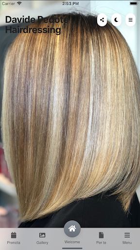 Davide Pedote Hairdressing Screen 3