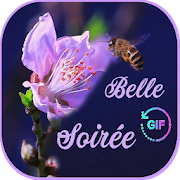 Bonsoir Images HD et GIF