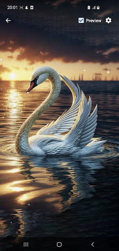 Android application Swan Wallpaper Gallery screenshort