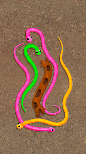 Snake Knot: Sort Puzzle Game Unknown