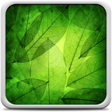 Green Leaves Live Wallpaper icon