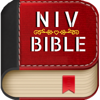 Niv Bible - Niv Study Bible