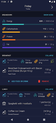 Food Diary Screen 2