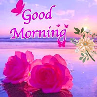 Everyday Good Morning Wishes