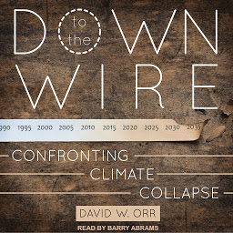 Icon image Down to the Wire: Confronting Climate Collapse