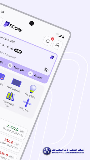 BCIpay Screen 2