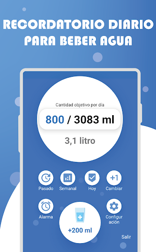 Vista previa de la aplicación