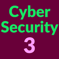 Cyber Security Expert Level 3