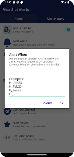 Visa Slot Alerts Screen 2