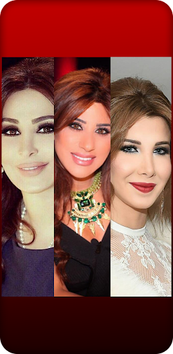 اغاني لبنانية Screen 3