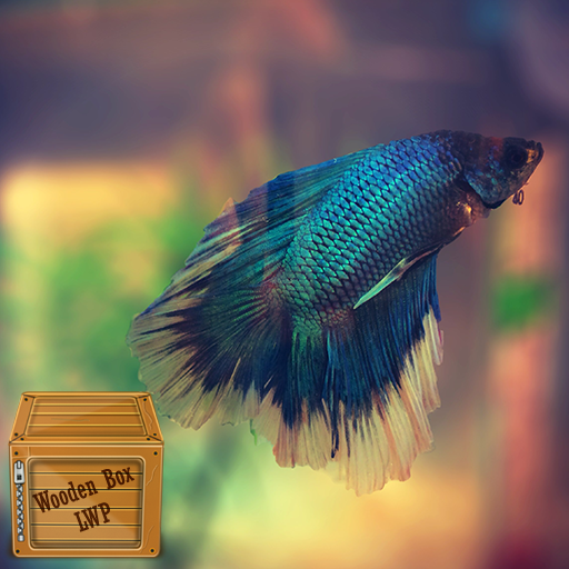 betta fish moving wallpaper logo