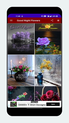 Good Night Flowers & Roses Screen 3