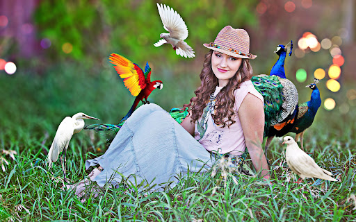 Bird photo video maker song Screen 2