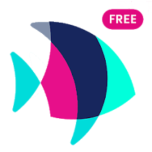 Plenty of Fish Free Dating App Download APK Android | Aptoide