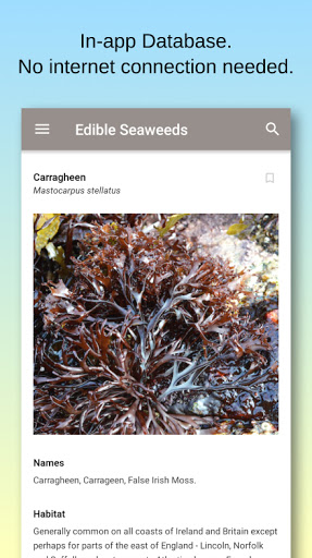Edible Seaweeds Screen 3