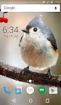 screenshot of Bird Live Wallpaper + Keyboard