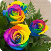 Hermosas Flores de Colores  Icon