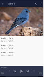 Screenshot 12 Canto Pinzon android