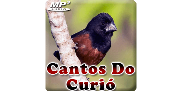 Canto De Papa-Capim Fêmea - Apps on Google Play