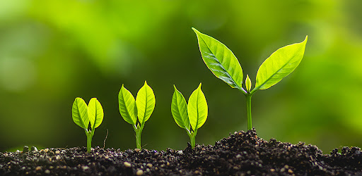 Capital Credit Union Business