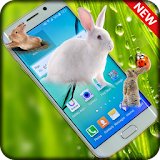 Rabbits in Phone Prank icon