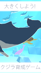 クジラ育成ゲーム-完全無料まったり癒しの鯨を育てる放置ゲーム