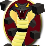 Black Box and Snake Adventure icon