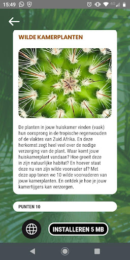 De Hortus Amsterdam Screen 3