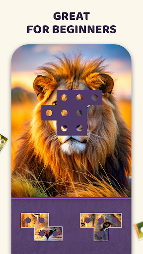 Puzzle Pix ekran görüntüsü