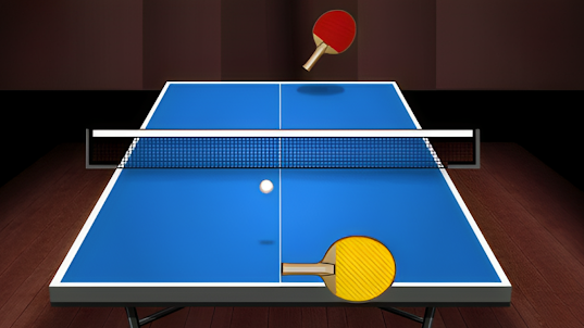 Table Tennis Champ- Ping Pong