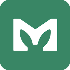 Icon image