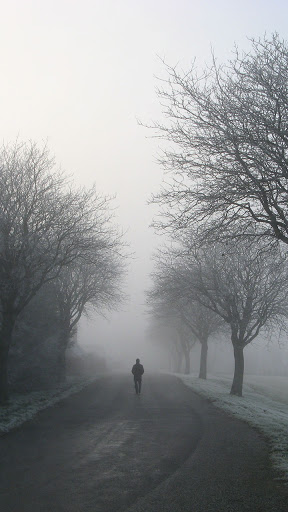 Android application loneliness wallpaper screenshort