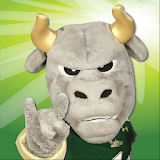 USF Horns Up Student App icon