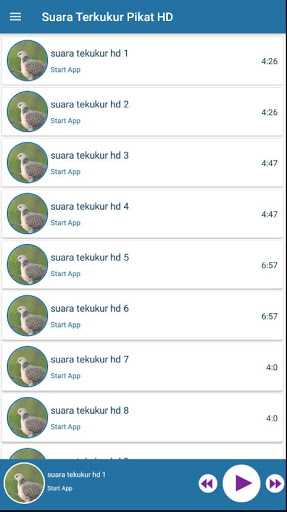 Suara Tekukur Pikat HD