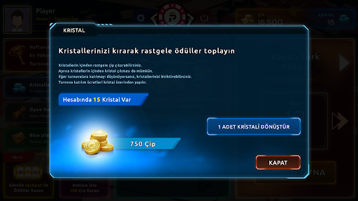 Türk Pokeri screenshot 18