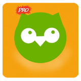 Reference Pour Duolingo icon