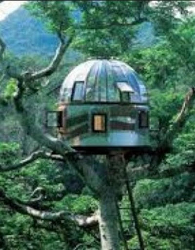 Unique Tree House Design