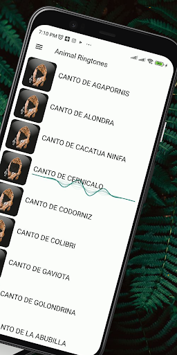 Animal sounds Ringtones Screenshot 2 - AppWisp.com