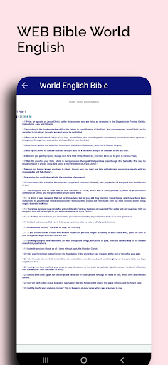 WEB Bible World English Screen 3