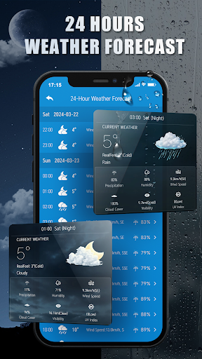 Weather Forecast Professor Screen 2