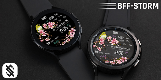 BFF32- Blackboard Art Bird screenshot 5