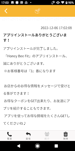 Honey Bee Fit Screen 2