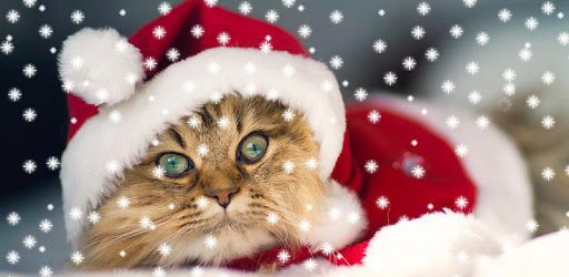 クリスマス猫ライブ壁紙 Google Play のアプリ