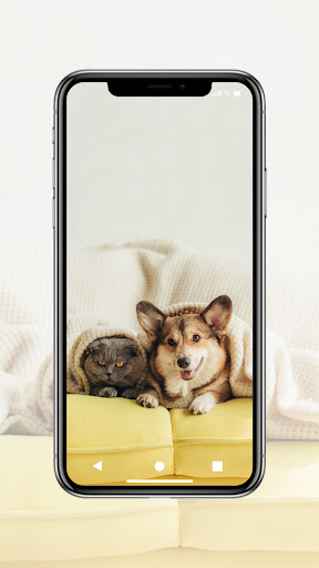 Dog and Puppy Wallpapers