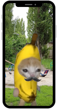 Download Banana Cat Meme App Free on PC (Emulator) - LDPlayer