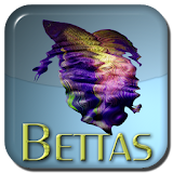Fun with Bettas icon