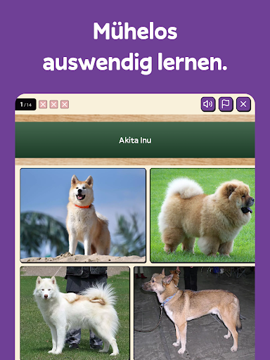Squiz - Merken & Quiz-Kultur screenshot 10