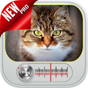 Cat Noises: Cat Meow Sound 1.6 Icon